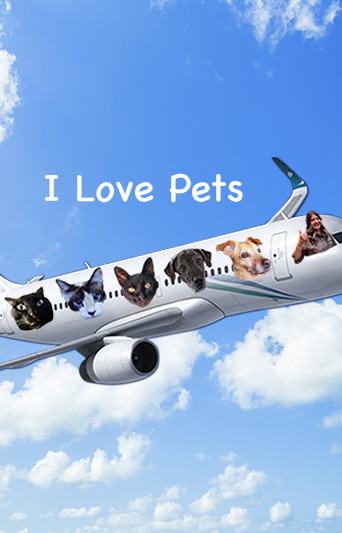 canal-youtube-i-love-pets
