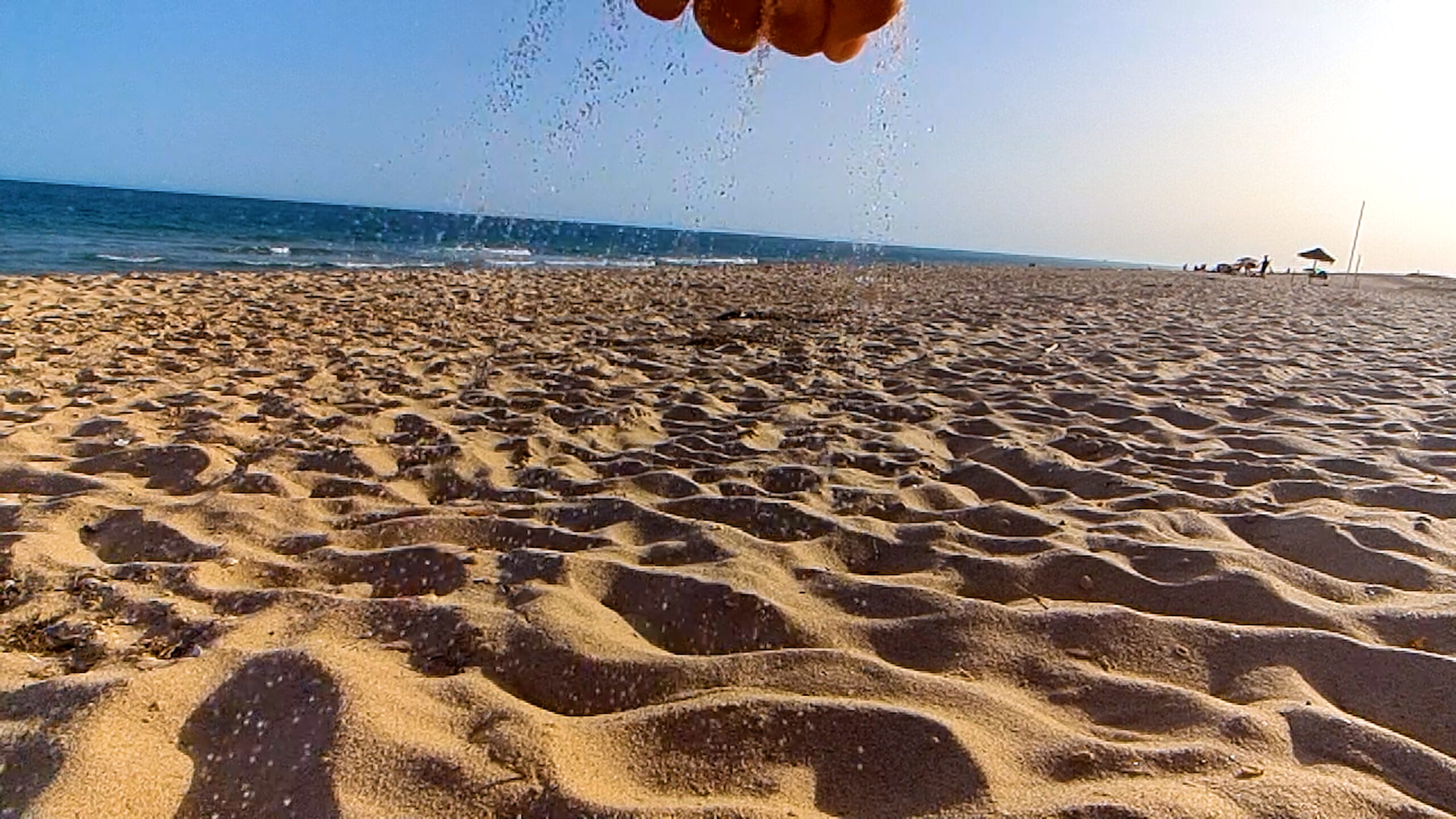 Ilha Deserta, um dia dedicado à natureza no sul de Portugal