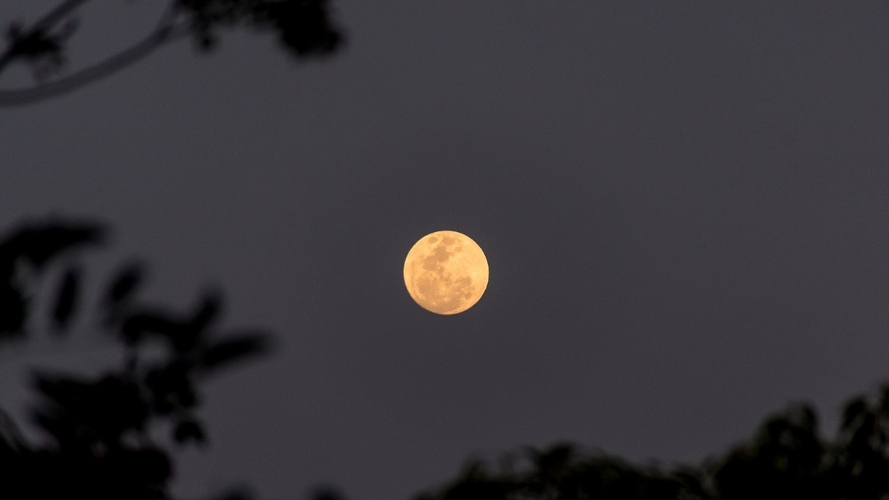 Já sabe onde vai ver a primeira Superlua Azul de 2024?