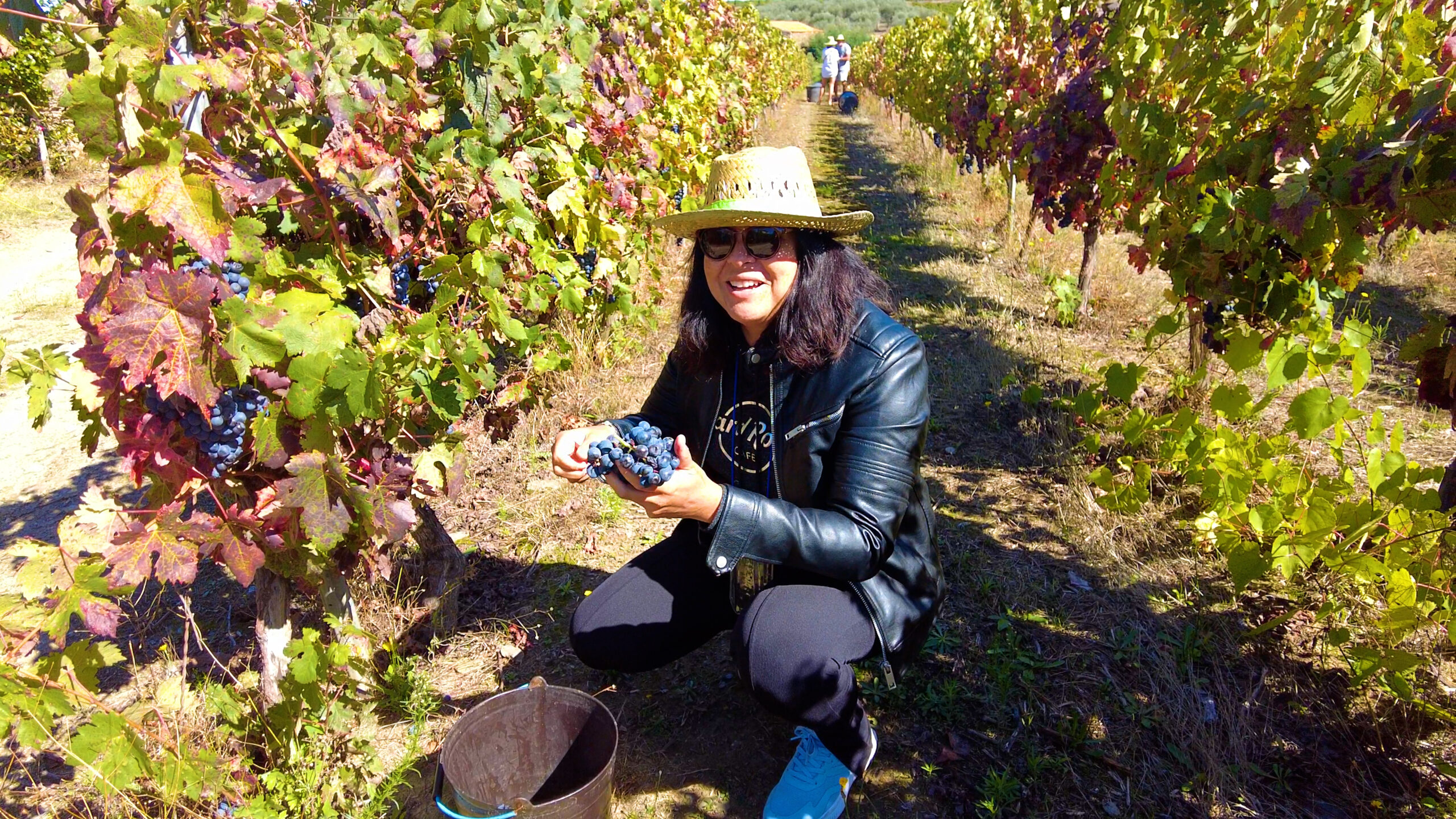 We did the grape harvest tour in Portugal